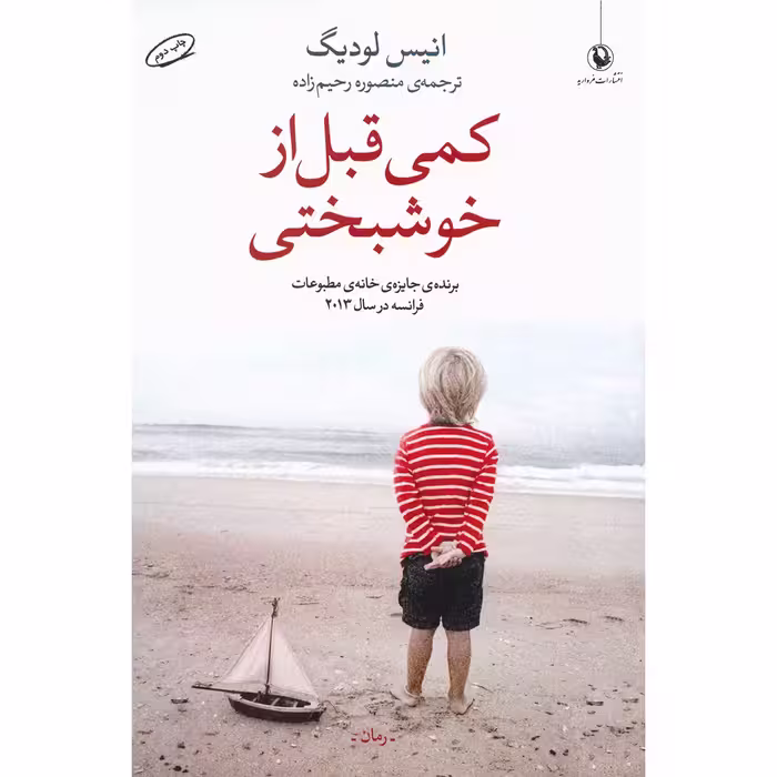 کتاب کمی قبل از خوشبختی اثر انیس لودیگ