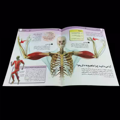 کتاب دانستنی‌های شگفت انگیز بدن انسان اثر محمد جعفر کمالی آشتیانی انتشارات کمال اندیشه