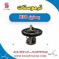 ترموستات بسترن B30