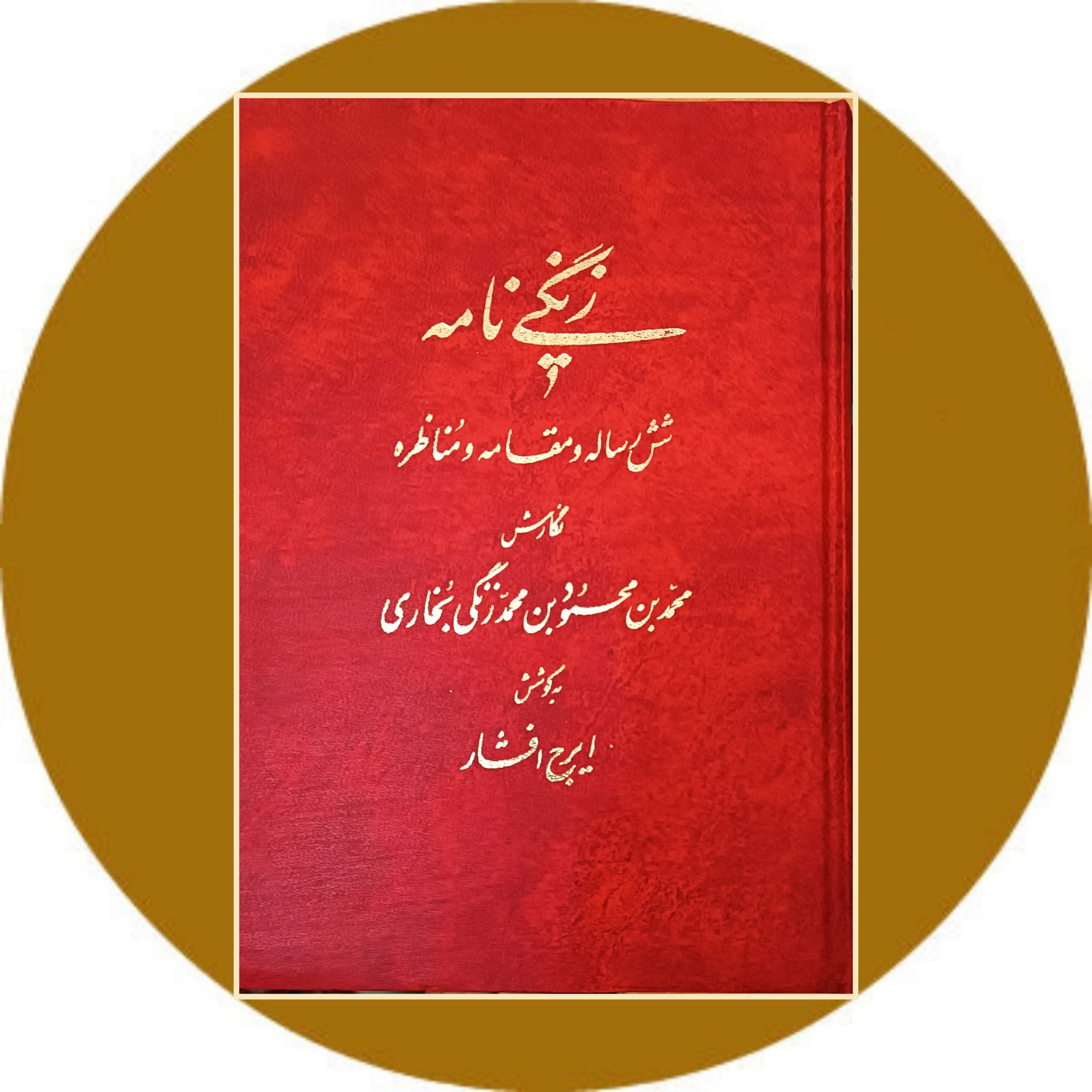 کتاب زنگی نامه - خرید با تخفیف چهل درصد از کتاب دایره قهوه ای