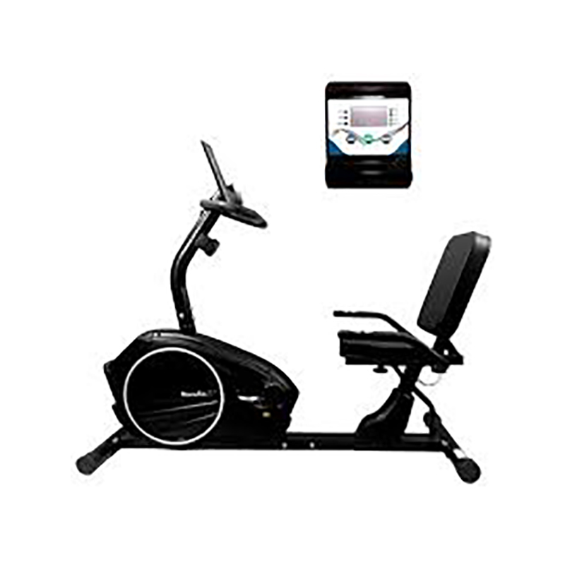 دوچرخه ثابت خانگی پشتی دار هاوس فیت مدل LOTOUS R1.0