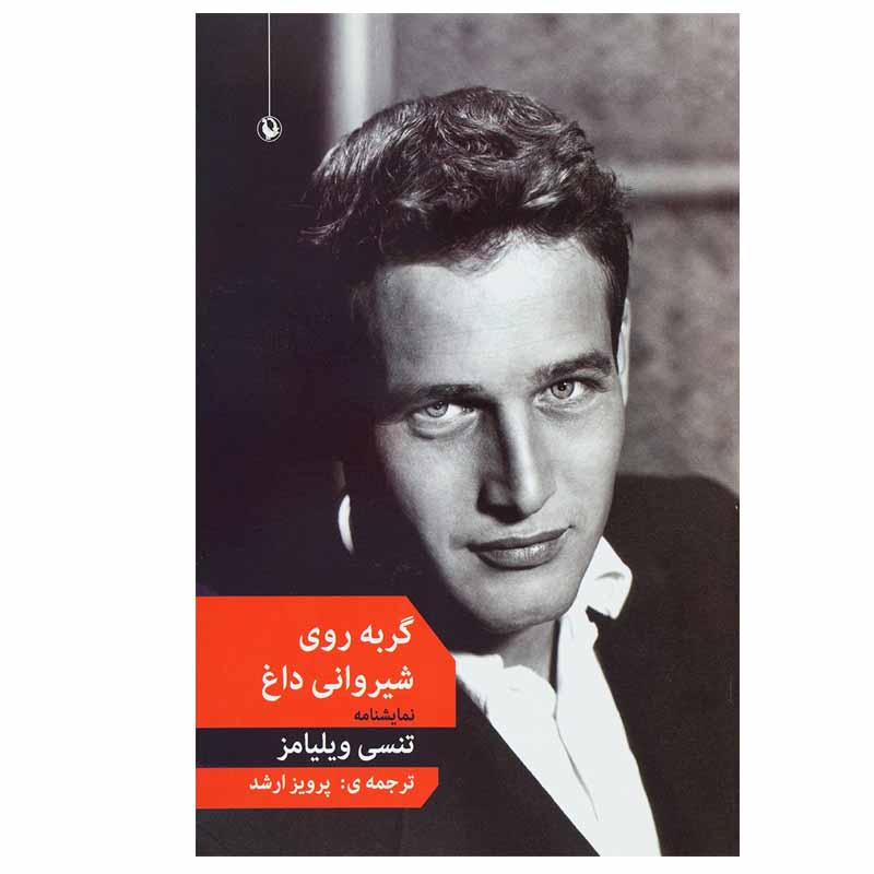 کتاب گربه روی شیروانی داغ اثر تنسی ویلیامز انتشارات مروارید