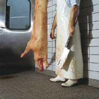 خرید و دانلود عکس قصاب حرفه‌ای در حال برش گوشت برای تبلیغات غذایی | پیک فاکس | Pic Fox