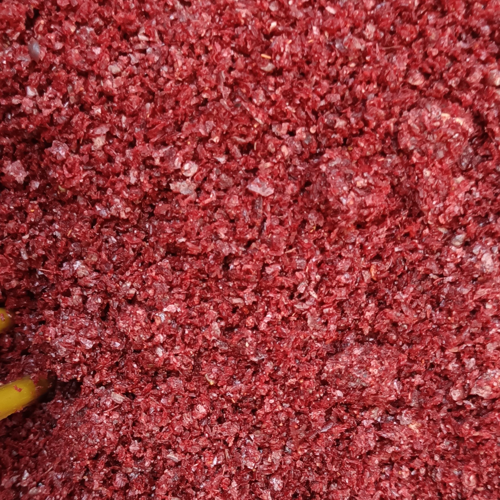 فلفل پول بیبر ایرانی با کیفیت عالی 250 گرمی آجیل و خشکبار مهران 