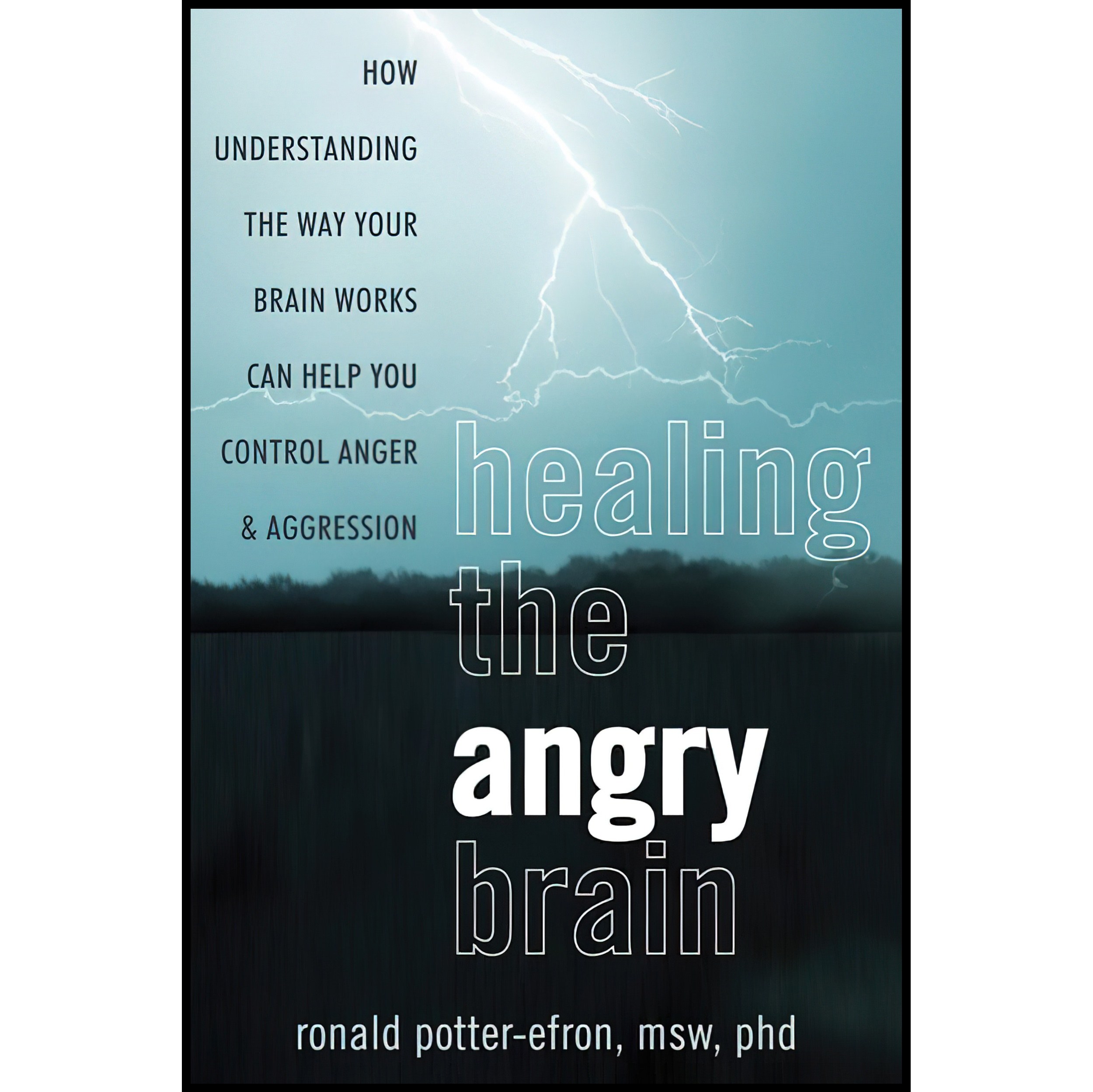 کتاب زبان اصلی Healing the Angry Brain اثر Ronald T PotterEfron