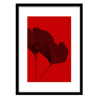 قیمت و خرید تابلو دکوراتیو مدل عکاسی کلوزآپ برگ کد 0908