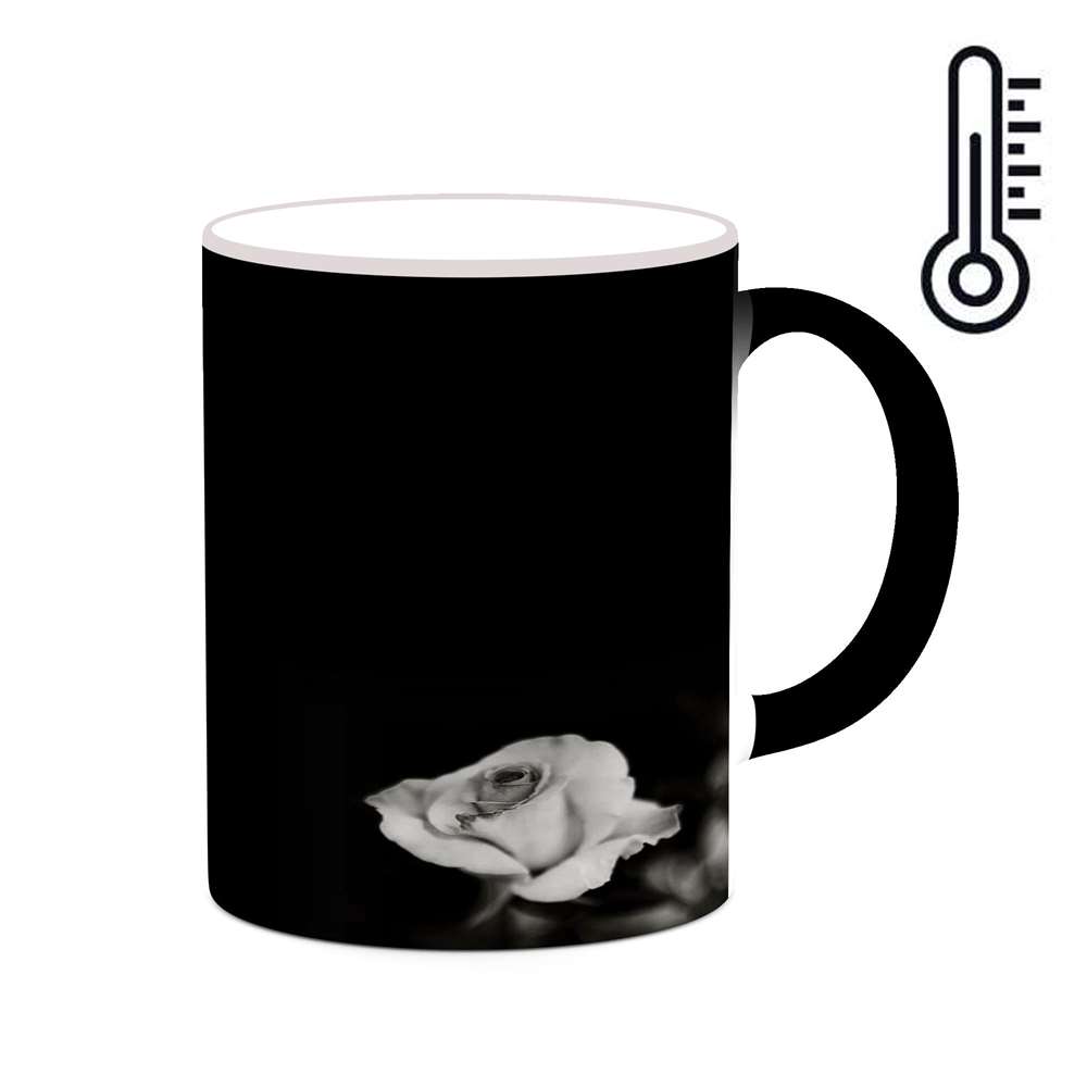 ماگ حرارتی کاکتی طرح زمینه مشکی فانتزی مدل mgh19530