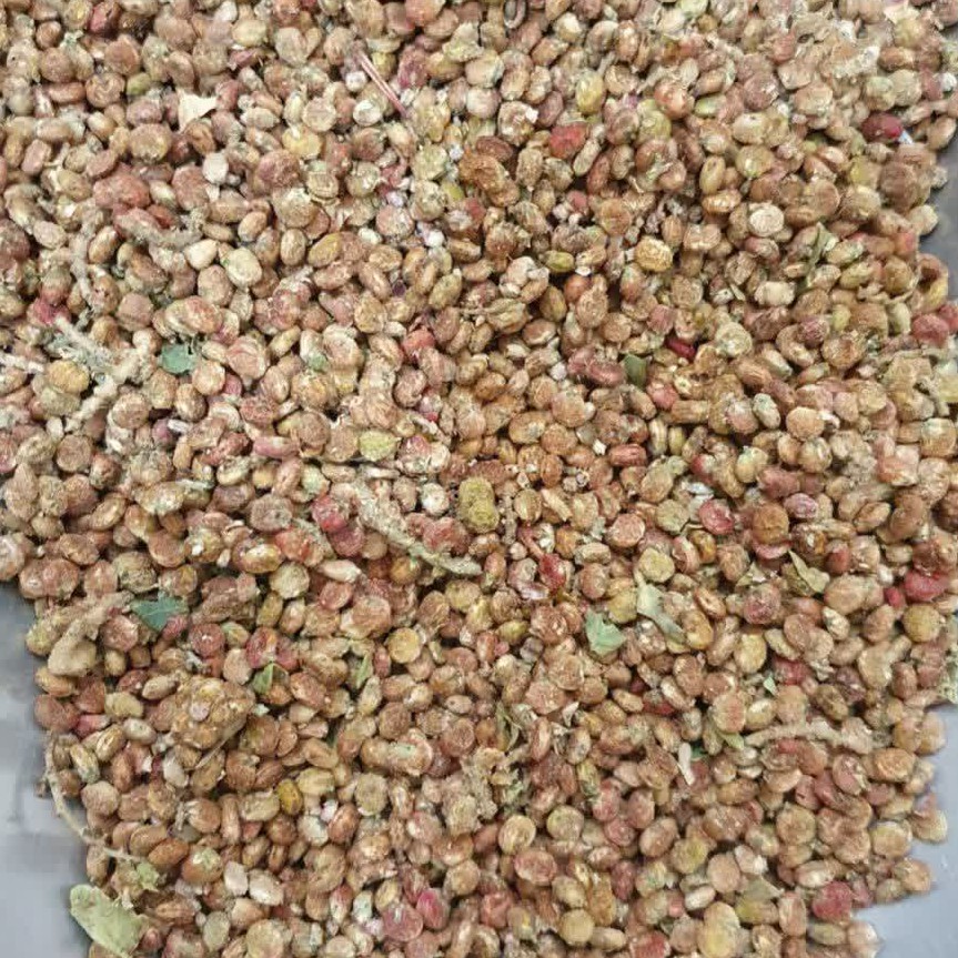 سماق قلم - 500 گرم
