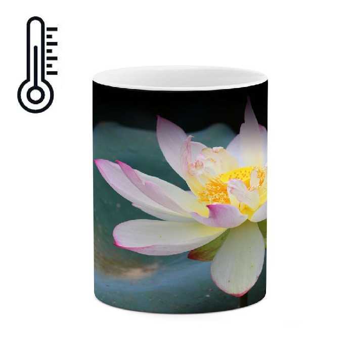 ماگ حرارتی کاکتی طرح گل مدل mgh16903