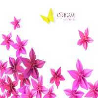 خرید و دانلود عکس Flower-Part-9 کد 18381 | پیک فاکس | Pic Fox