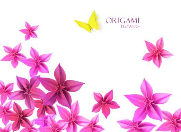 خرید و دانلود عکس Flower-Part-9 کد 18381 | پیک فاکس | Pic Fox