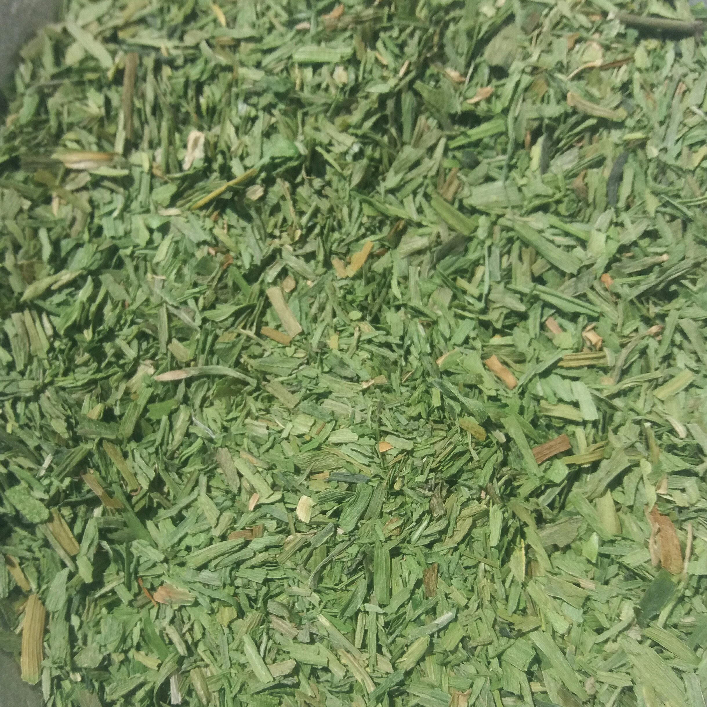 تره خشک فله دو کیلویی ناب