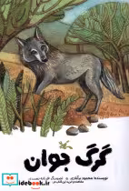 قیمت و خرید کتاب گرگ جوان اثر محمودبرآبادی | ایده بوک