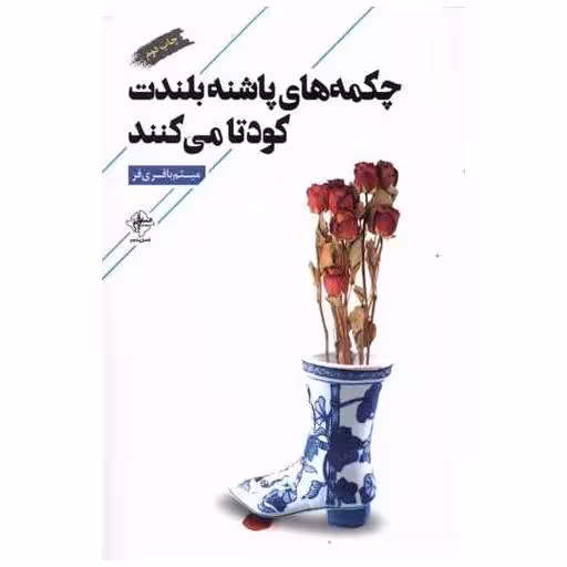 کتاب چکمه‌های پاشنه بلندت کودتا می کنند اثر میثم باقری فر