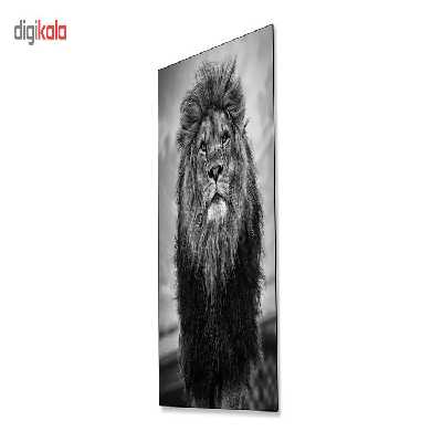 تابلو شاسی ونسونی طرح Stand Of Lion سایز 50 × 70