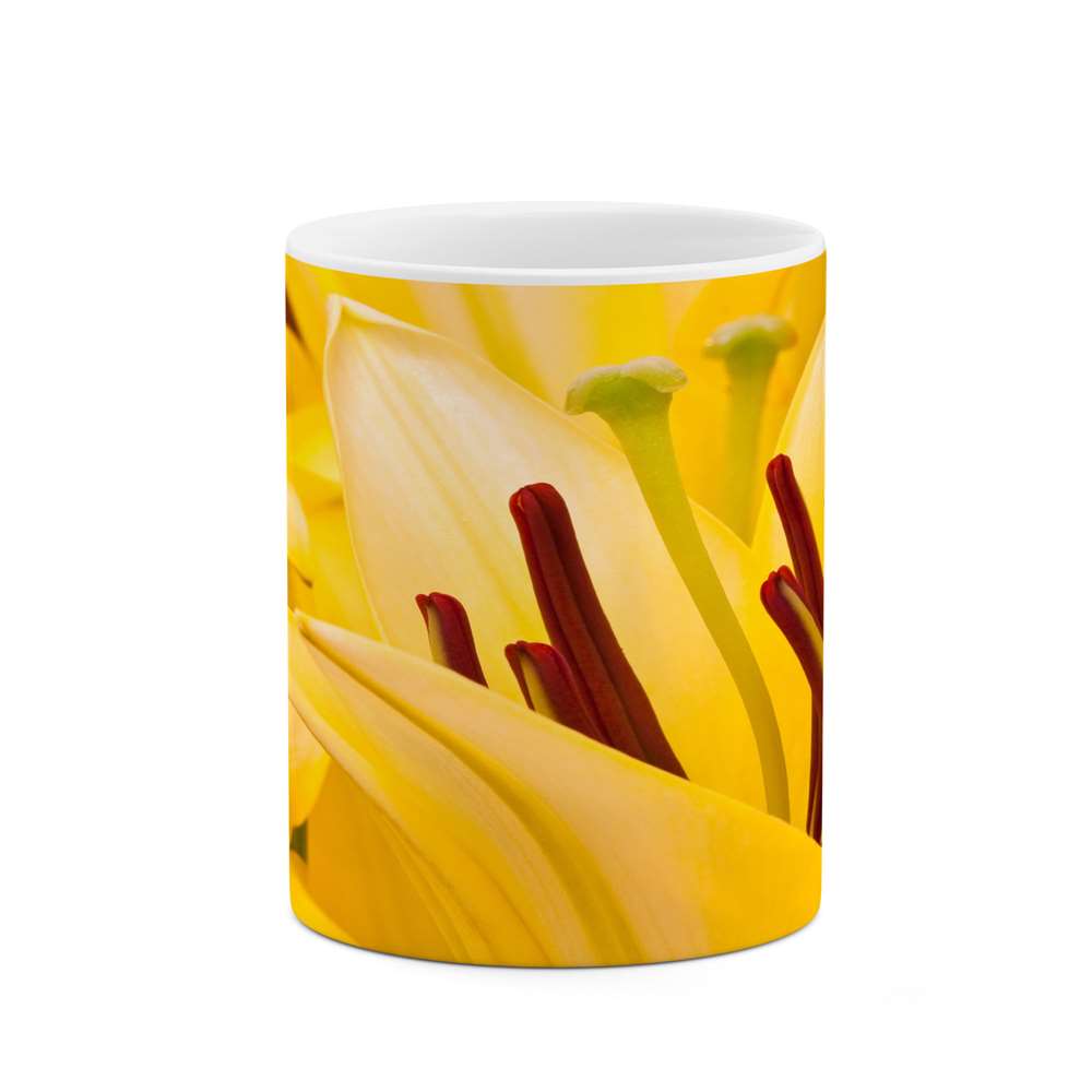 ماگ طرح گل مدل mgs12112