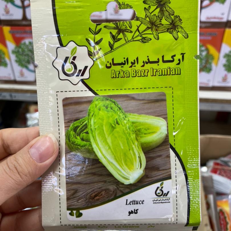 بذر کاهو خوراکی . کاشت در باغچه یا گلدان