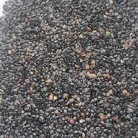 چشام 100گرمی