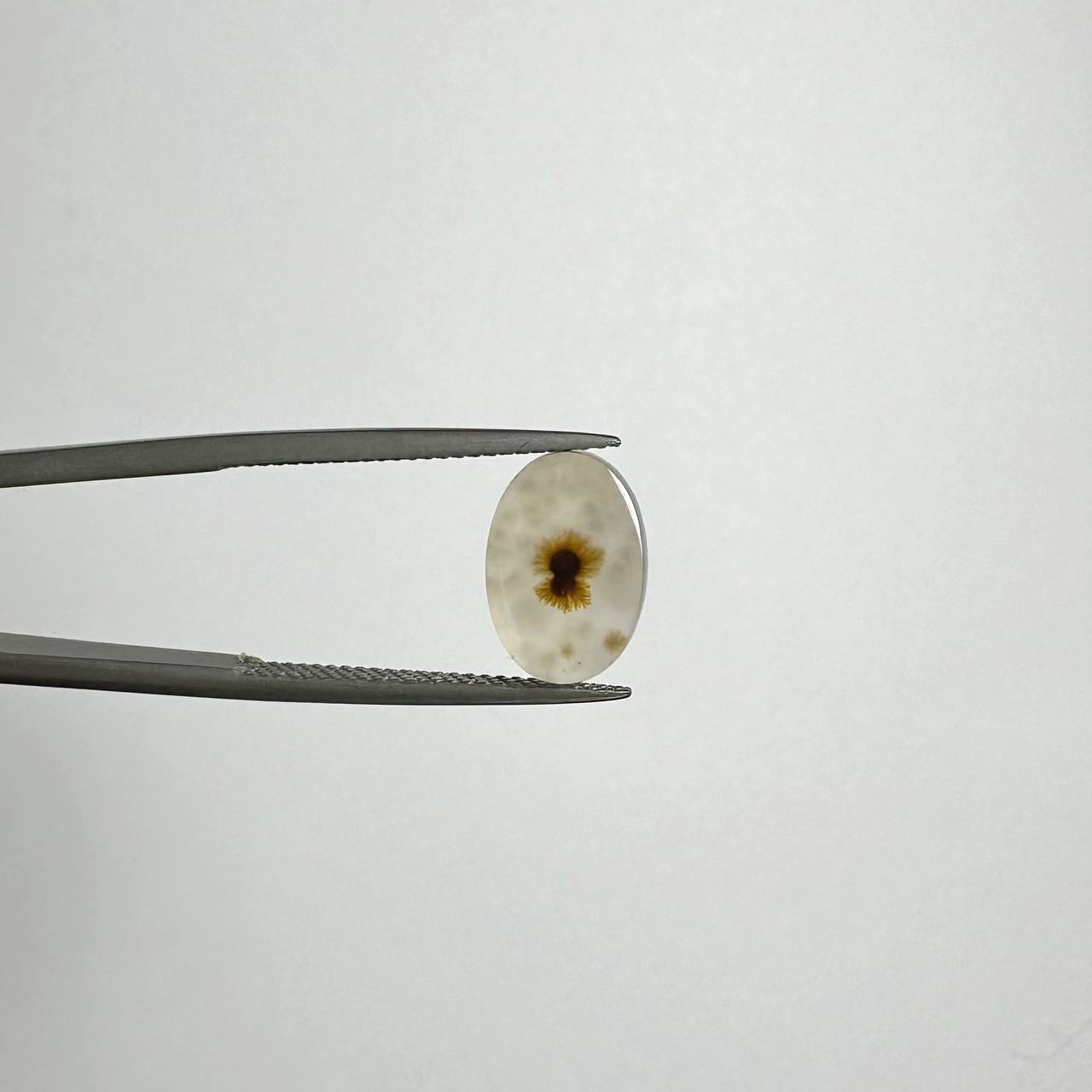 سنگ عقیق شجر ایران طبیعی 235328