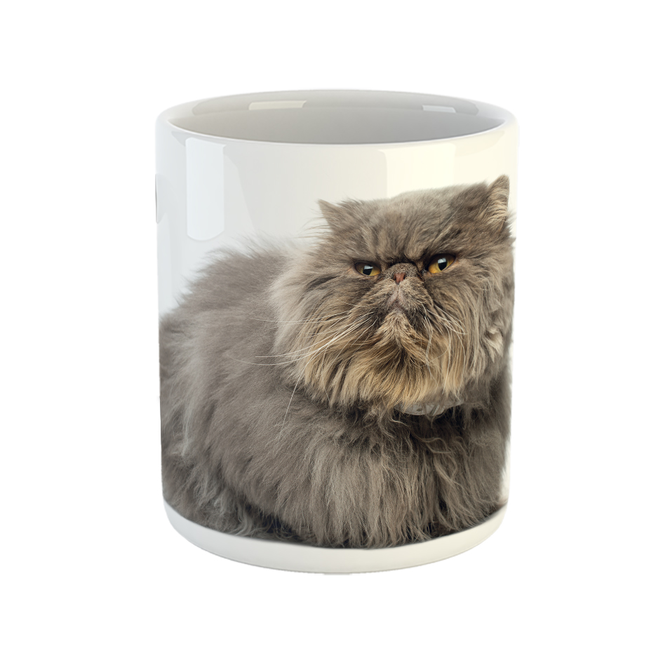 ماگ طرح گربه مدل پرشین کت کد 01 persian cat