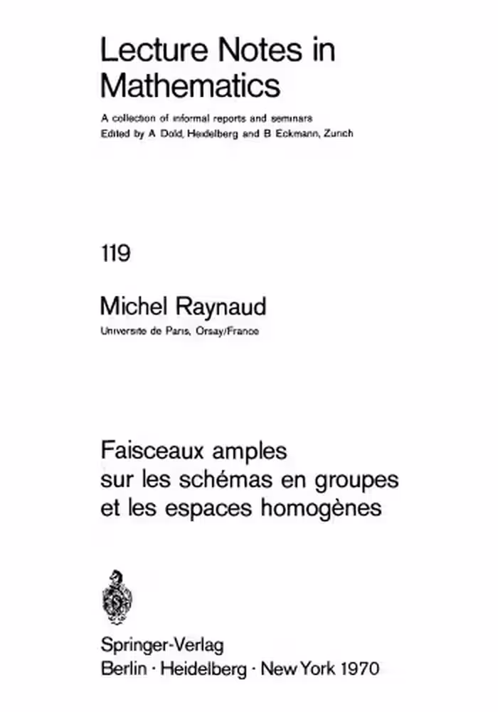 خرید و دانلود نسخه کامل کتاب Faisceaux amples sur les schemas en groupes et les espaces homogenes