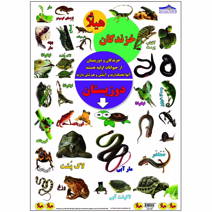 کتاب بگرد و پیدا کن در صحرا اثر کیوان سالمی فیه انتشارات زرین مهر