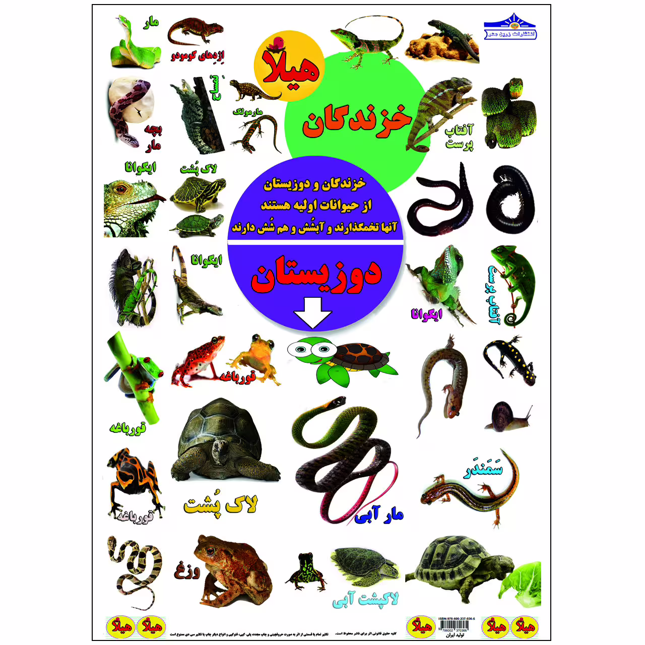 کتاب بگرد و پیدا کن در صحرا اثر کیوان سالمی فیه انتشارات زرین مهر