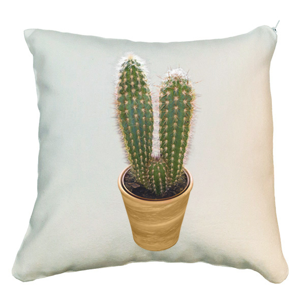 کوسن مدل کاکتوس