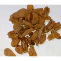 ثعلب قلوه 50 گرم 