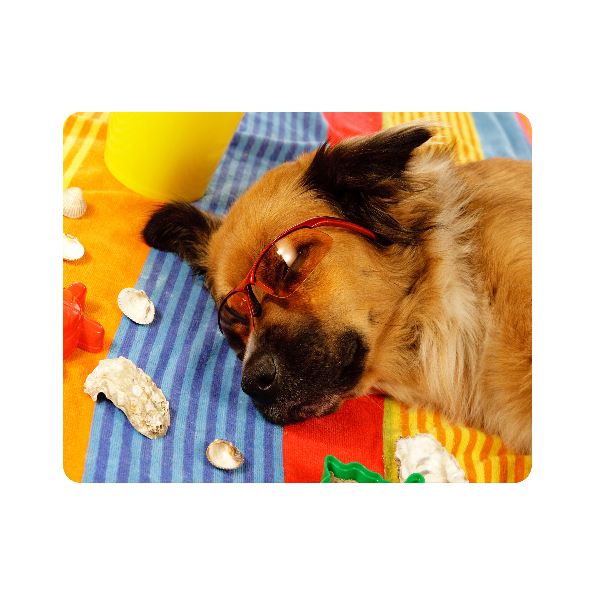 ماوس پد اطلس آبی طرح سگ خوابیده  مدل T2222