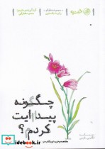 قیمت و خرید کتاب چگونه پیدایت کردم اثر رابرت جانسون | ایده بوک