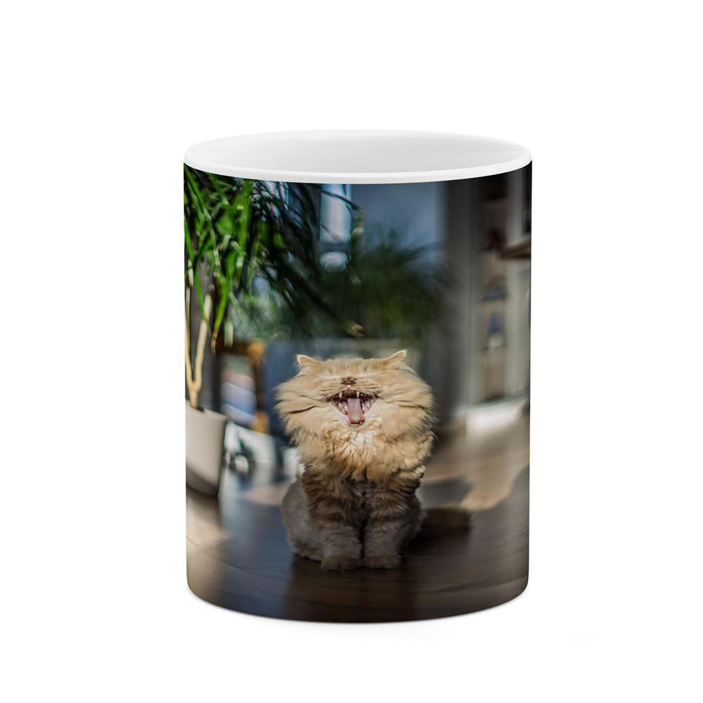 ماگ کاکتی طرح گربه مدل mgs14416