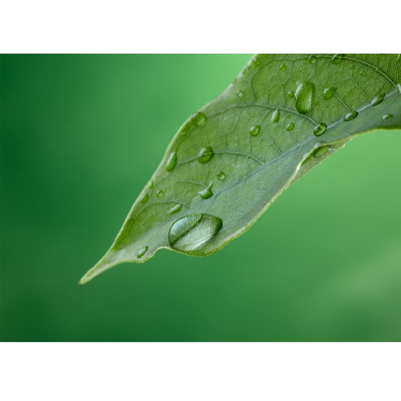 تابلو شاسی کد 356