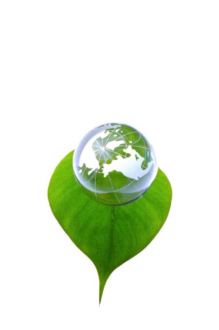 خرید و دانلود عکس IranBCS کد 29330 | پیک فاکس | Pic Fox