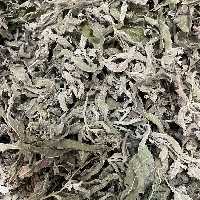 پونه طبیعی خشک شسته شده تازه و خوش عطر دزفول با بسته بندی 100 گرمی