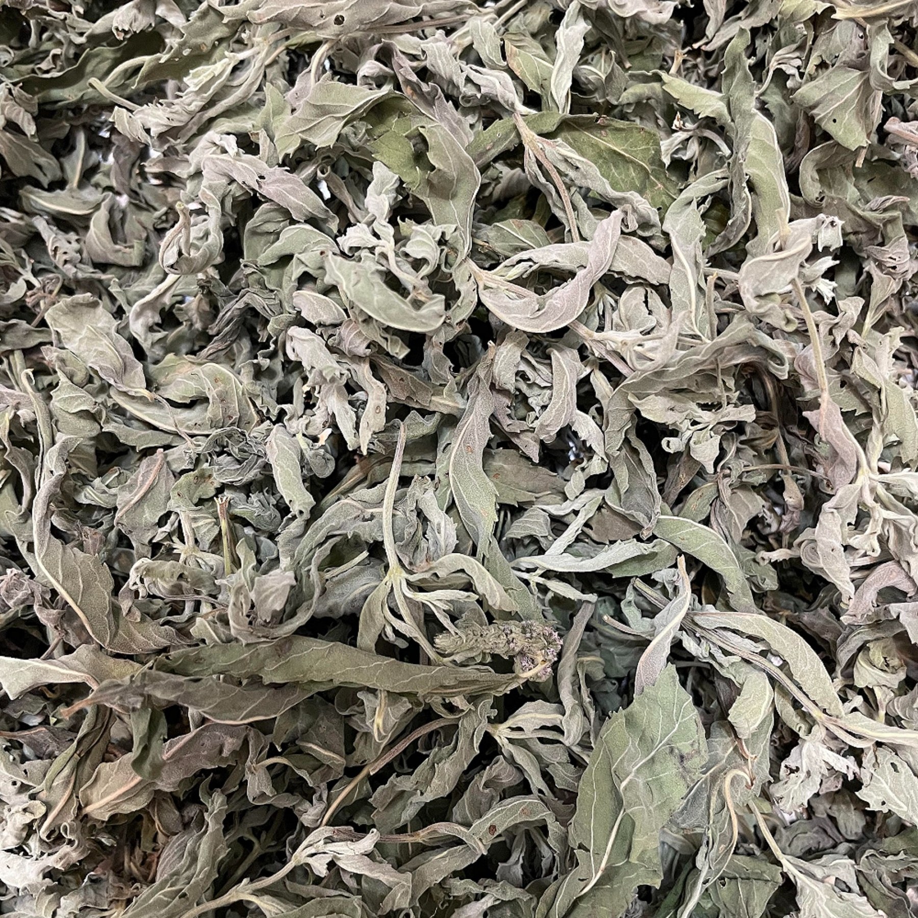 پونه طبیعی خشک شسته شده تازه و خوش عطر دزفول با بسته بندی 100 گرمی