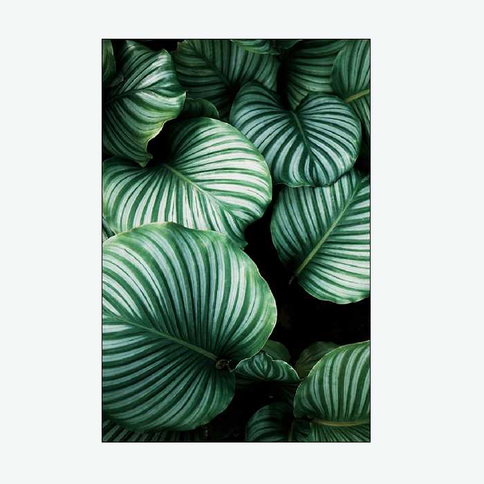 تابلو شاسی مدل 0101 مجموعه 4 عددی