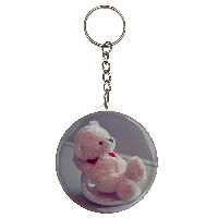 جاکلیدی طرح عروسک خرس مدل S9723