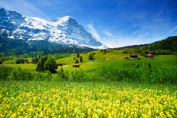 خرید و دانلود عکس Nature-Part-15 کد 35610 | پیک فاکس | Pic Fox