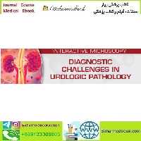 USCAP Diagnostic Challenges in Urologic Pathology 2024 vi