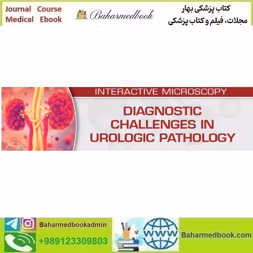USCAP Diagnostic Challenges in Urologic Pathology 2024 vi