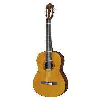 گیتار مدل C40
