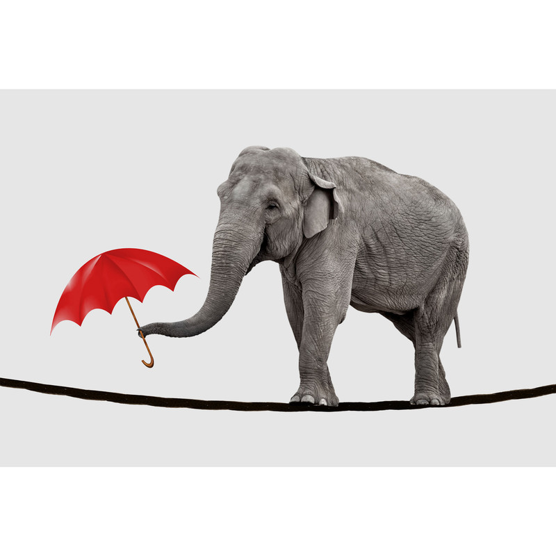 تابلو شاسی طرح فیل و چتر مدل T2235 | دنیای قاب