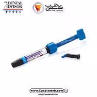 مشخصات، قیمت و خرید کامپوزیت خلفی بیسکو AELITE LS Posterior