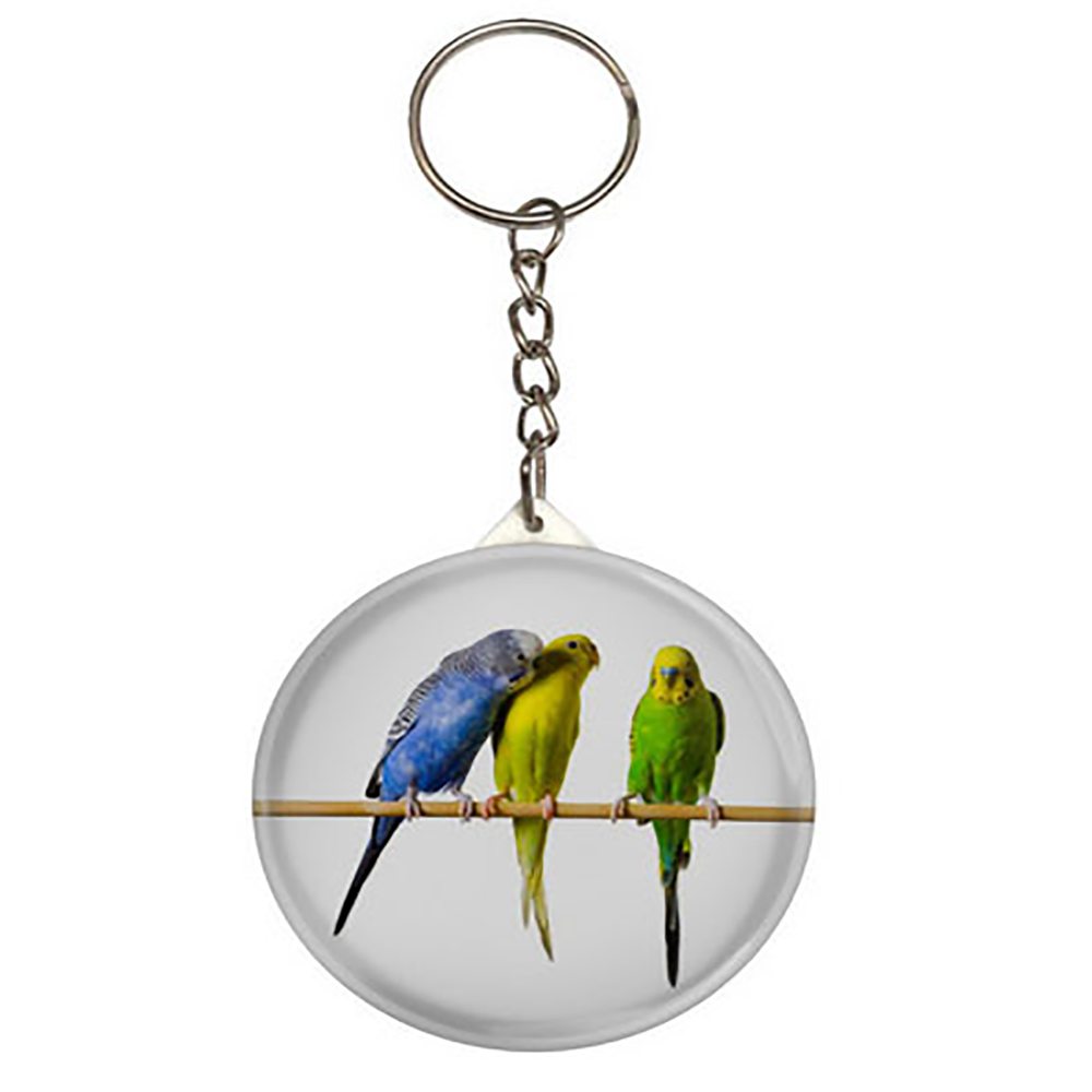 جاکلیدی عرش مدل مرغ عشق کد Asj412