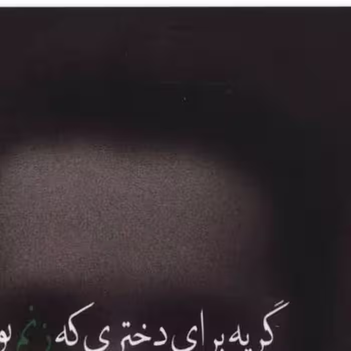 کتاب پازل شعر امروز (186)(گریه برای دختری که زنم بود) اثر علی ایلیا