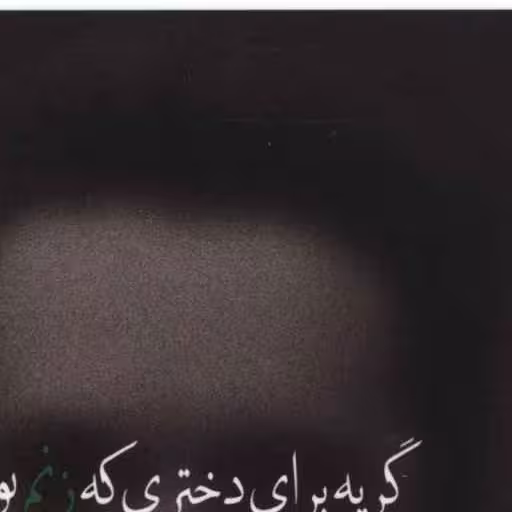 کتاب پازل شعر امروز (186)(گریه برای دختری که زنم بود) اثر علی ایلیا