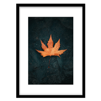 قیمت و خرید تابلو دکوراتیو مدل عکاسی برگ پاییزی کد 0274