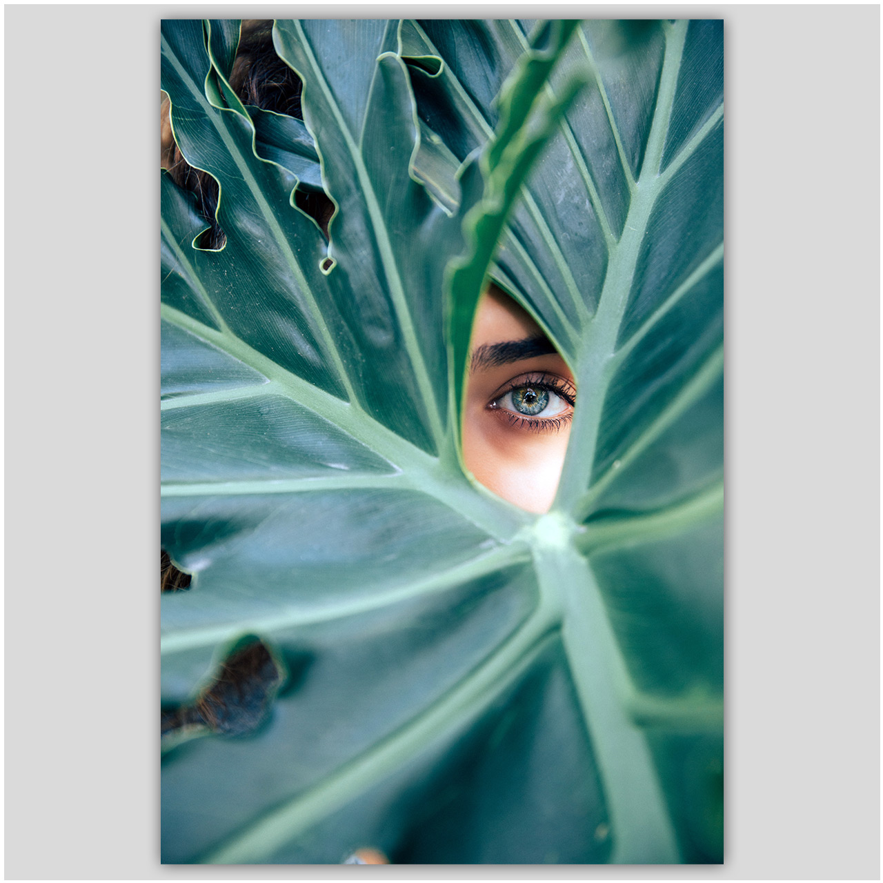 تابلو شاسی دکوگراف مدل برگ کد 503