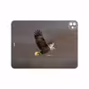 برچسب پوششی ماهوت مدل Eagle مناسب برای تبلت اپل iPad Pro 11 (GEN 2) 2020 A2231